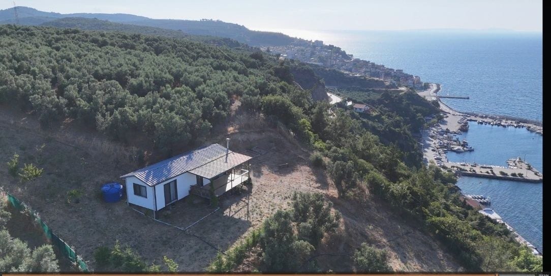 DENİZE KARŞI SATILIK ZEYTİNLİK