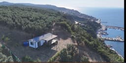 DENİZE KARŞI SATILIK ZEYTİNLİK